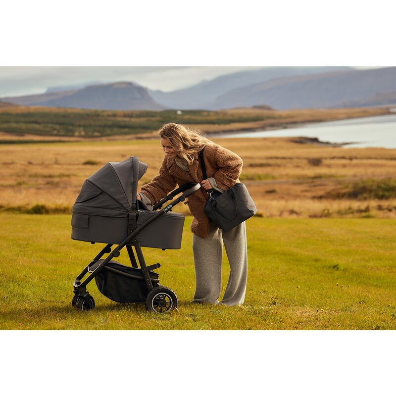 Carucior 3 in 1, Lionelo, Amber Plus, Cadru aluminiu, Cu landou intarit si salteluta moale, Cu scoica auto testata ADAC, Reversibil, Maner ajustabil, Cu accesorii, Cu ventilatie panoramica 3D, Pana la 22 kg, EN1888-1, EN1888-2, EN1466, ECE R129, Verde