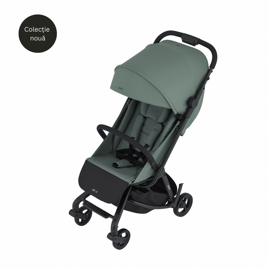 Cărucior sport Anex Air-Z - imaginea 14