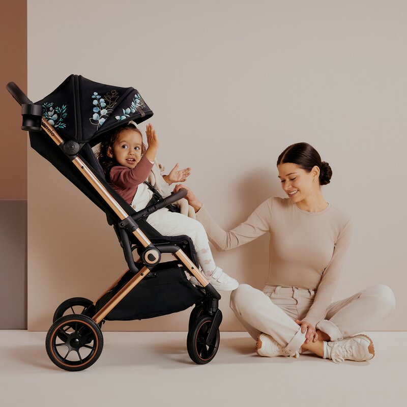 Carucior sport, Lionelo, Cloe, Golden Moments, Editie limitata, Cu accesorii, Cadru din aluminiu, Pana la 22 kg, Usor, Pliere compacta pentru avion, cu o singura mana, Ideal pentru toate tipurile de suprafete, 6 luni+, Negru