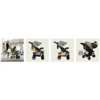 Carucior sport Lionelo Emma Plus Grey Dove – colaj cu detalii de utilizare