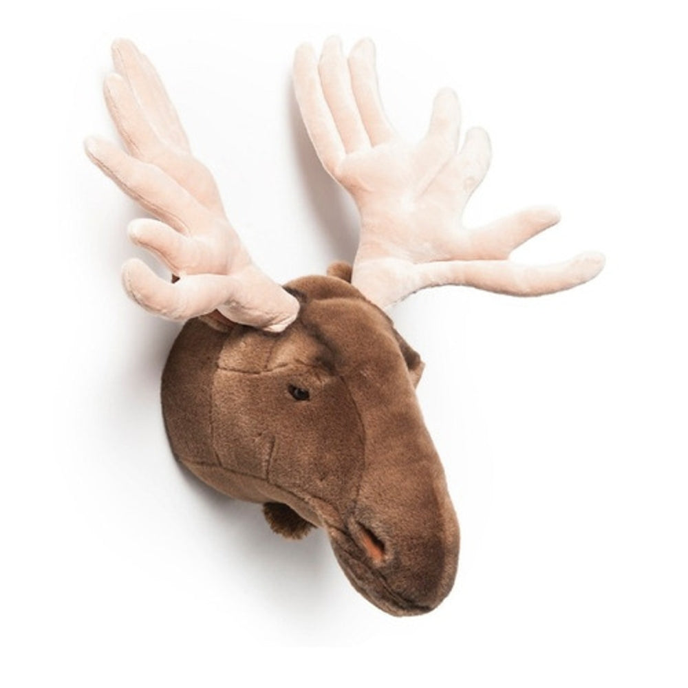 Decoratiune Wild & Soft - Cap de Elan Alfred