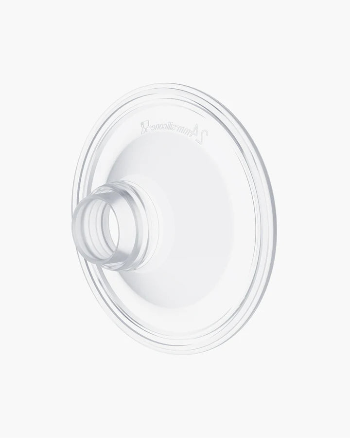 Accesorii de schimb originale Flansa pentru pompe de san S9/S12