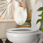 Ingenuity Olita Ity Redy Set Go