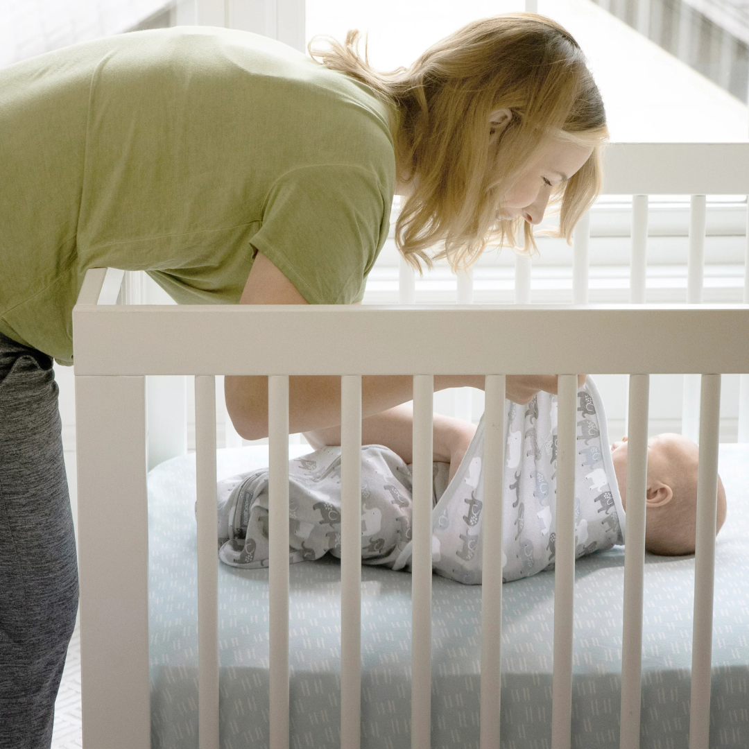 Ingenuity - Set 2 sisteme de infasare Swaddle Me 0-3 luni, colectia Monogram, Born Free