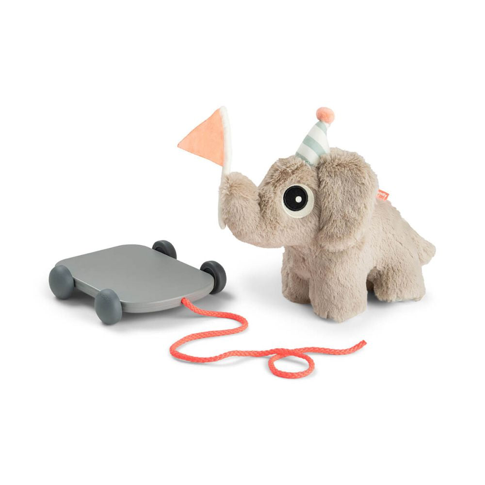 Jucarie Push Along 2 in 1 Done by Deer Elphee Sand