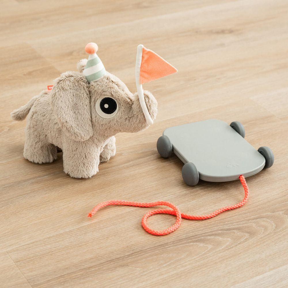 Jucarie Push Along 2 in 1 Done by Deer Elphee Sand