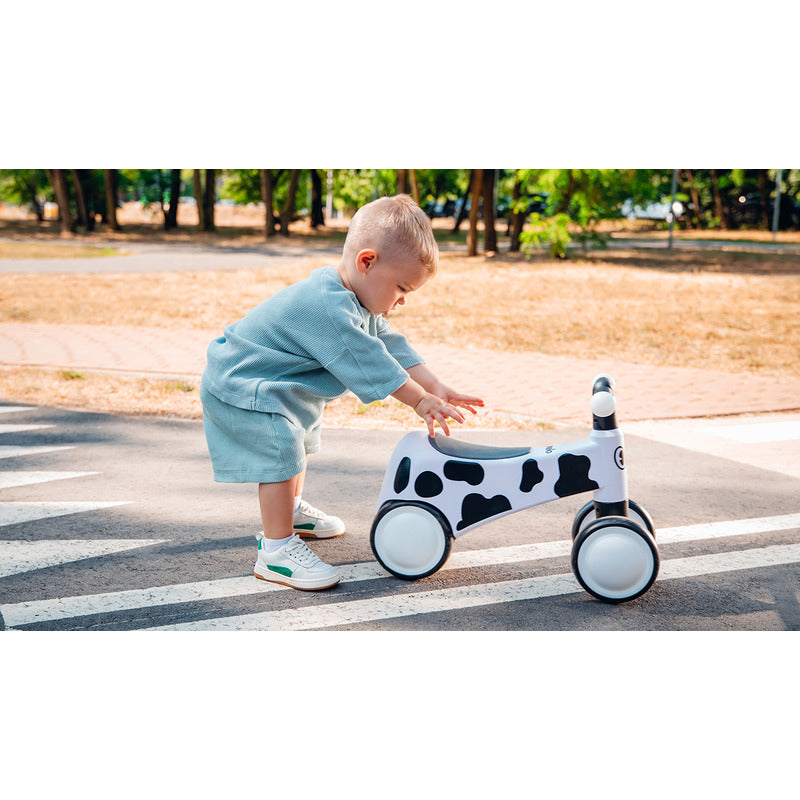 Bicicleta fara pedale, Lionelo, Sammy, Cu 4 roti, Din spuma EVA, Stabila, Manere moi, antiderapante, 12- 36 luni, Greutate maxima suportata 25 kg, Certificata EN 71-1:2014, EN 71-2:2011, EN 71-3:2019, Alb