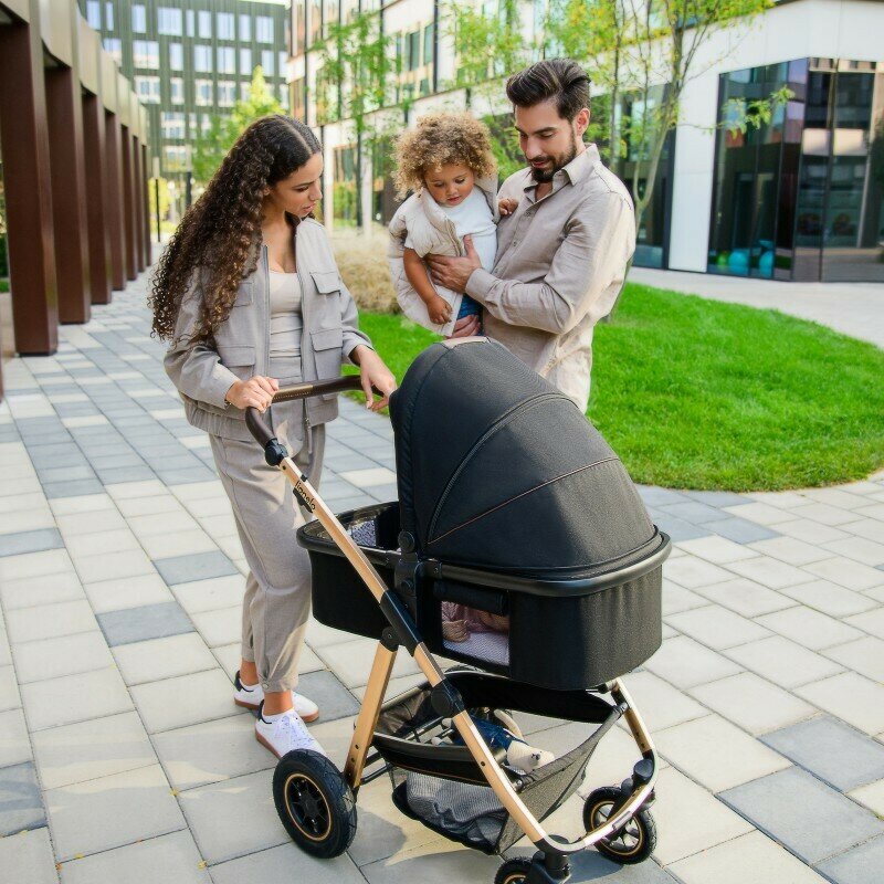 Carucior 3 in 1 Lionelo Amber, Negru Onyx