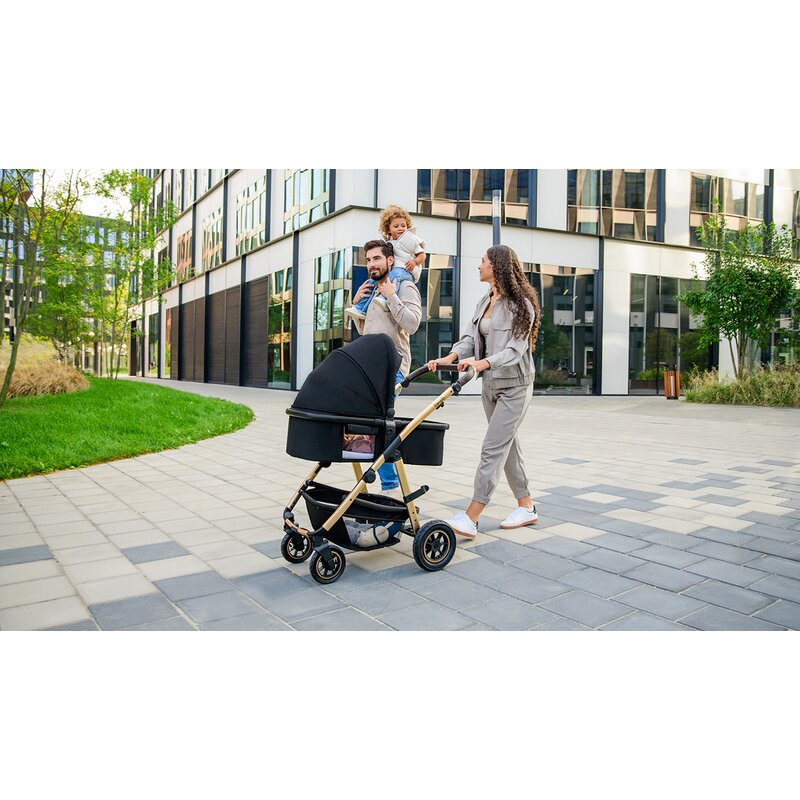 Carucior 3 in 1 Lionelo Amber, Negru Onyx
