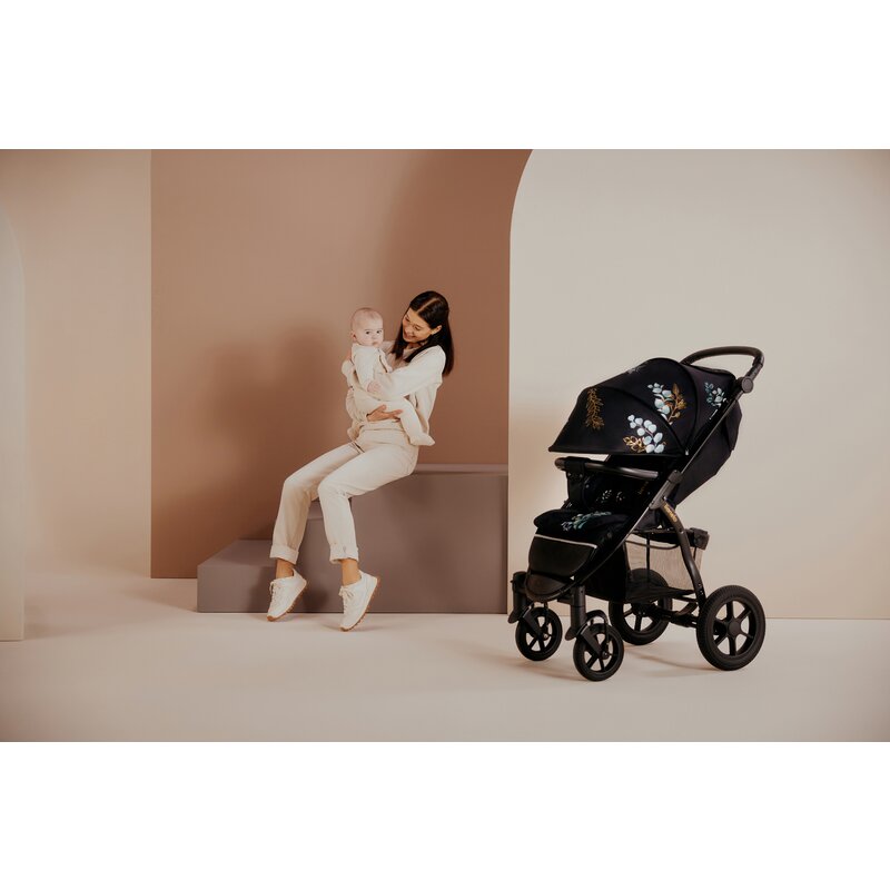 Carucior sport, Lionelo, Annet Tour Golden Moments, Editie Limitata, 0 luni+, Capotina impermeabila UPF 50+, Maner reglabil, Plasa de tantari, Suport biberon, Saculet pentru picioare, Pana la 22 kg, Certificare TUV, Negru