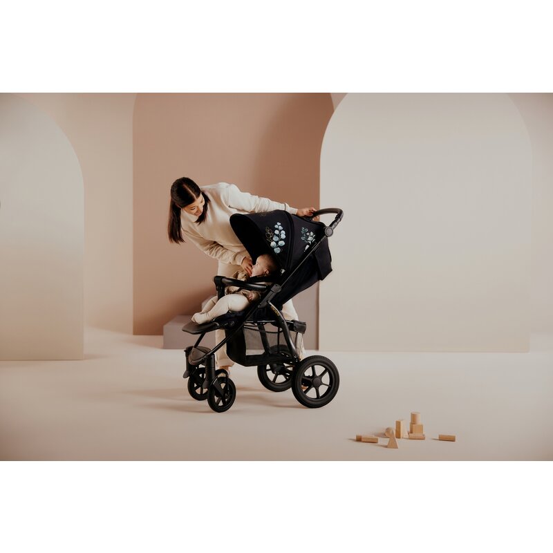 Carucior sport, Lionelo, Annet Tour Golden Moments, Editie Limitata, 0 luni+, Capotina impermeabila UPF 50+, Maner reglabil, Plasa de tantari, Suport biberon, Saculet pentru picioare, Pana la 22 kg, Certificare TUV, Negru