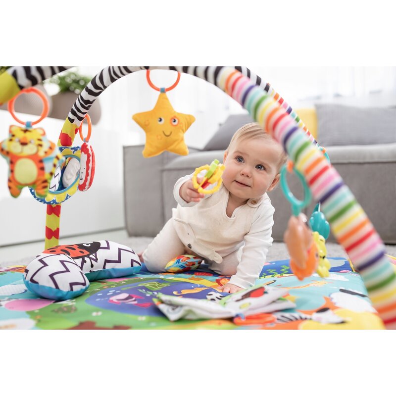 Salteluta interactiva, Lionelo, Anika, Cu jucarii, Oglinda, Perna, Conform cu standardul european de securitate EN71, Multicolor