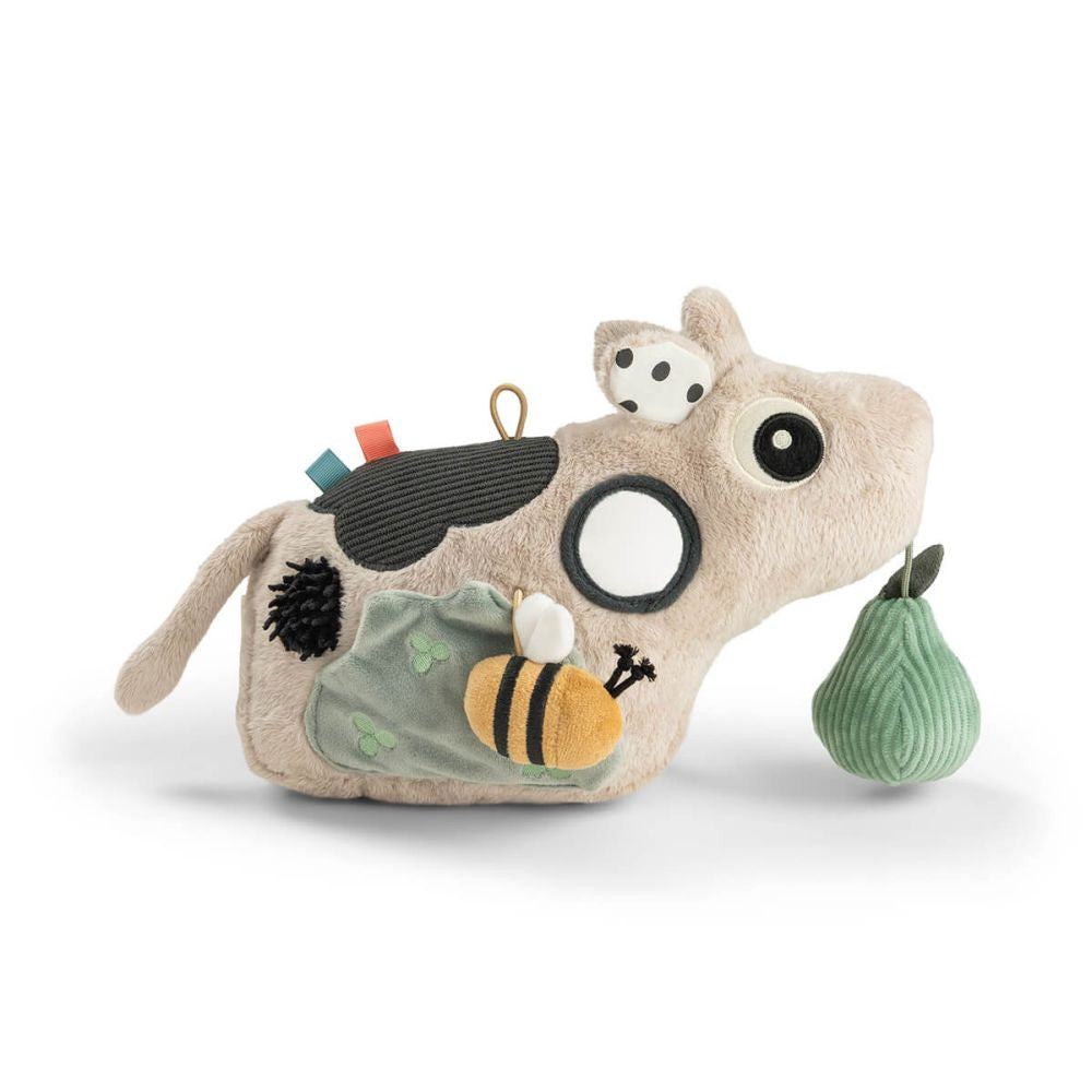 Oglinda cu Activitati Done by Deer Tummy Time 0+