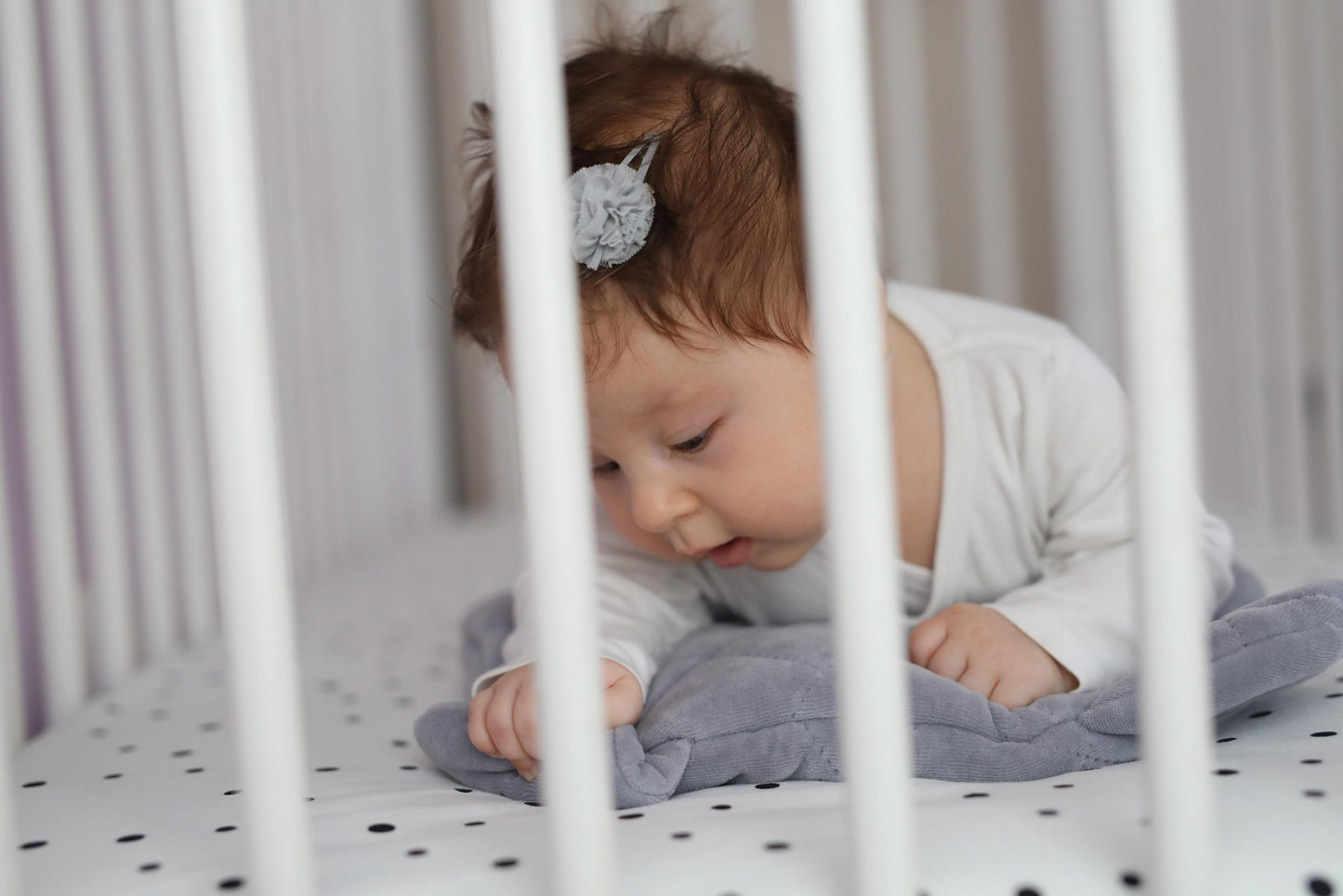 Perna catifea ursulet - Royal Baby Sleepee