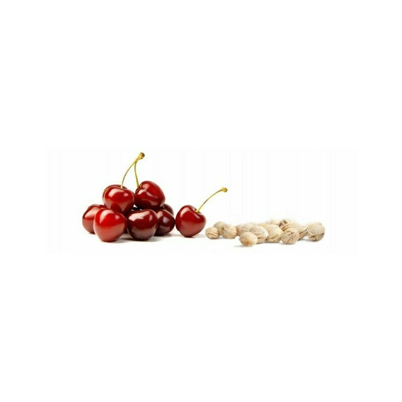 Pernuta anticolici, Qmini, Umpluta cu samburi de cirese, Cu husa din bumbac, Diametru 14 cm, Watermelon