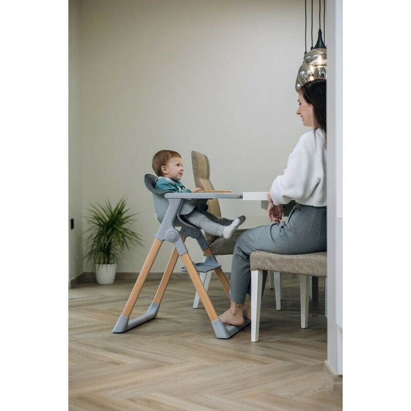 Scaun de masa 2 in 1, FreeON, Flexi Grow, Transformabil, Pliabil, Contine 2 accesorii, 0 luni +, Gri