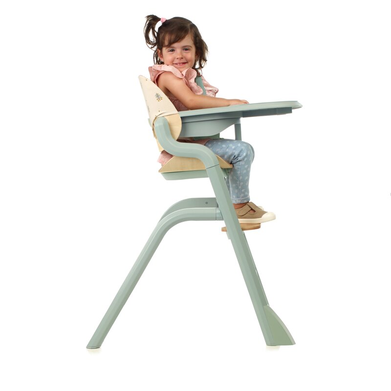 Scaun de masa multifunctional Noah, Jane, De la 6 luni la adult, Din lemn fag, Husa lavabila, Greutate maxima 100 Kg, Pale