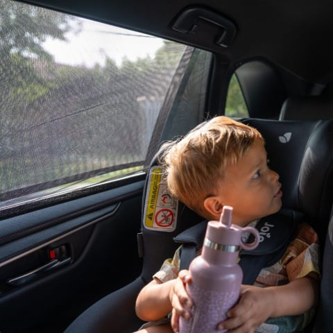 Set 2 Parasolare auto Ezimoov Socks S