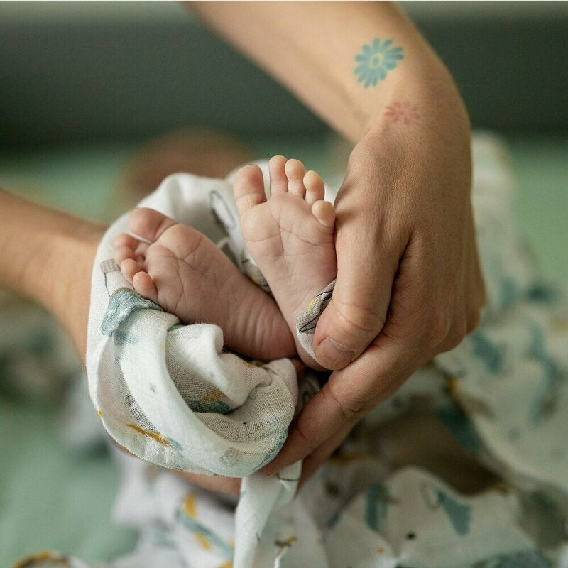 Set 2 scutece, Petite&Mars, Misty, Din muselina de bambus, Hipoalergenice, Dimensiuni mari, 120 x 120 cm, Certificate Oeko Tex Standard 100, Whale Song