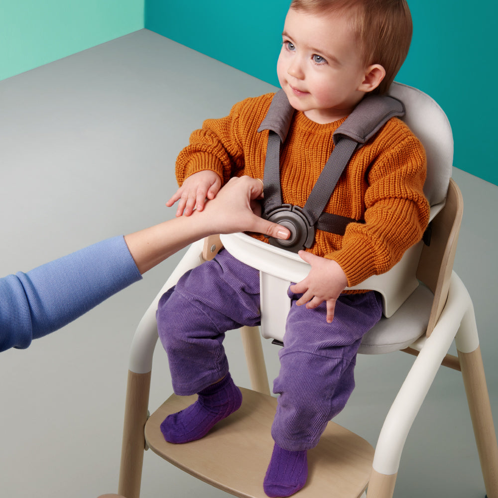 Set bebelusi pentru scaun Bugaboo Giraffe