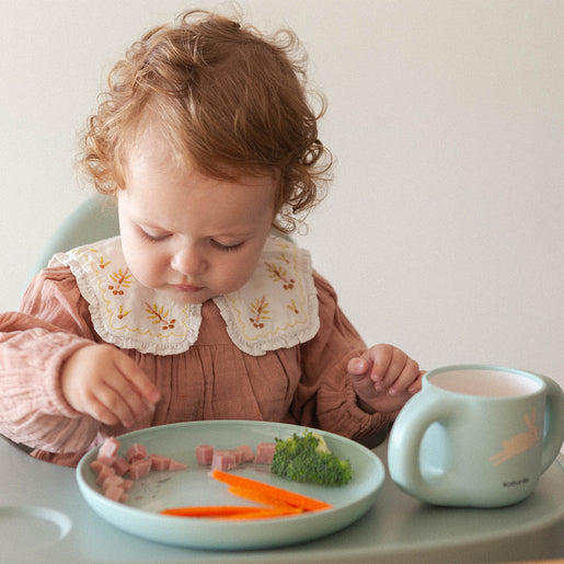 Set diversificare Suavinex Wonderland