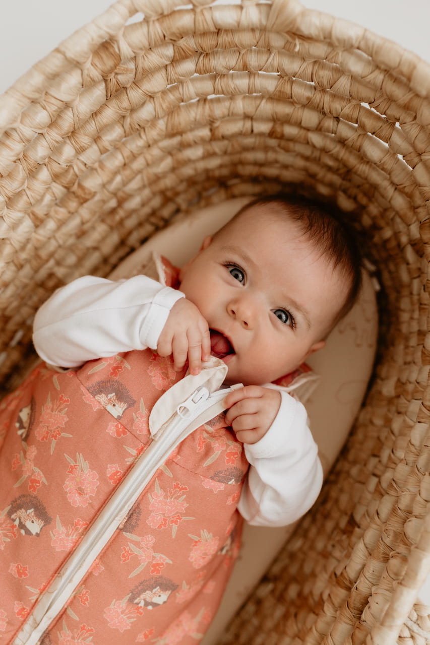 Sac Bumbac de dormit bebe 2,5 TOG 0-4 luni Sleepee