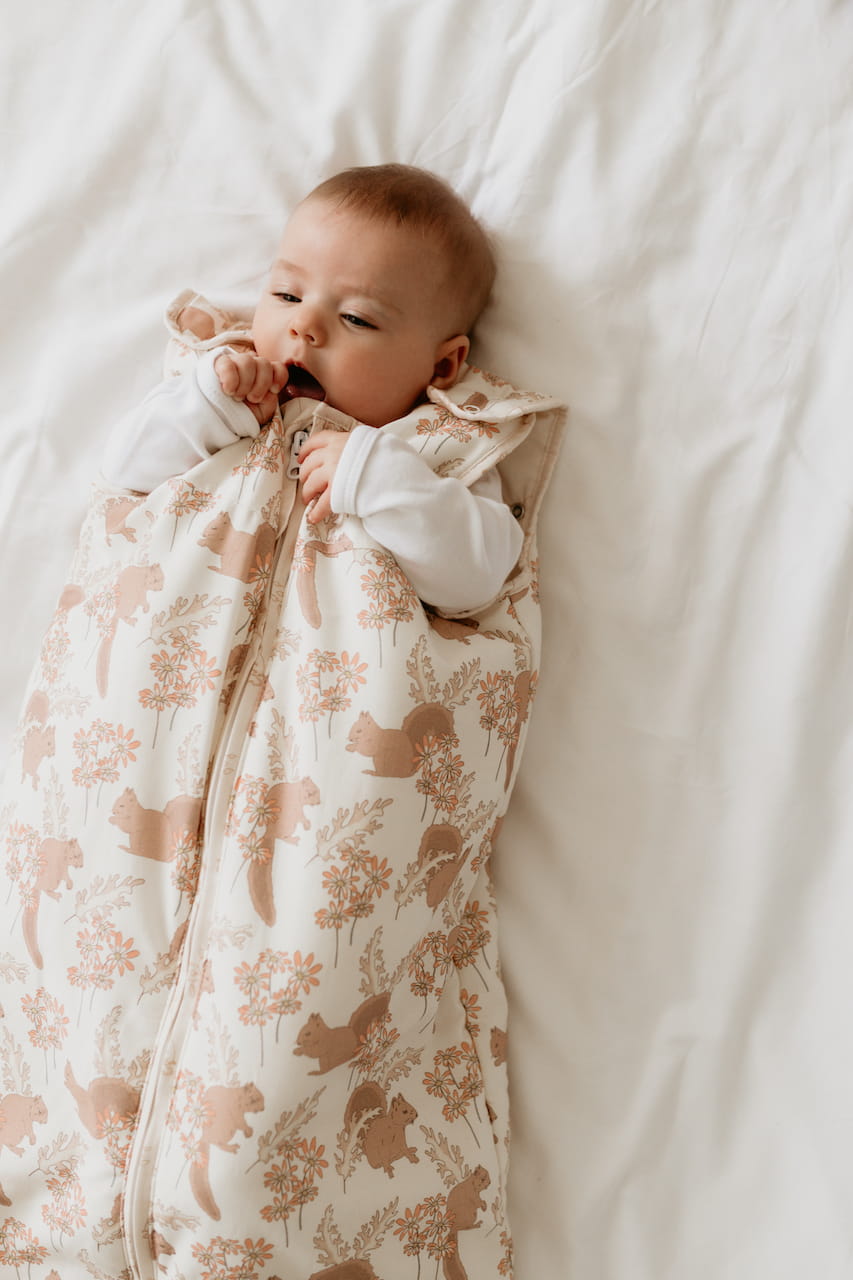 Sac Bumbac de dormit bebe 2,5 TOG 0-4 luni Sleepee
