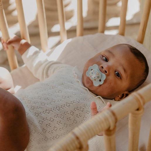 Suzeta fiziologica Suavinex  SX Pro Wonderland Butterfly 0-6 luni